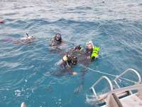 Great day of scuba diving in Key Largo with Rainbow Reef on eagle ray alley tropical odyssey 2023 12 22 r14938 1