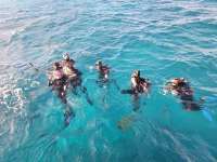 Great day of scuba diving in Key Largo with Rainbow Reef on eagle ray alley tropical odyssey 2023 12 23 r14944 1
