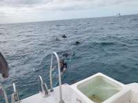 Great day of scuba diving in Key Largo with Rainbow Reef on hole in the wall tropical serenity 2023 12 07 r14915 1