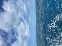 Great day of scuba diving in Key Largo with Rainbow Reef on molasses reef tropical destiny 2023 12 10 r14920 1