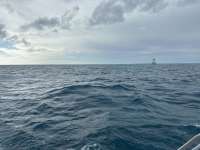 Great day of scuba diving in Key Largo with Rainbow Reef on molasses reef tropical destiny 2023 12 22 r14939 1