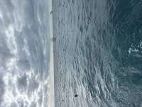 Great day of scuba diving in Key Largo with Rainbow Reef on molasses reef tropical odyssey 2023 12 07 r14916 1
