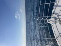 Great day of scuba diving in Key Largo with Rainbow Reef on spiegel grove tropical destiny 2023 12 03 r14897 1