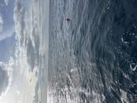 Great day of scuba diving in Key Largo with Rainbow Reef on spiegel grove tropical odyssey 2023 12 07 r14914 1