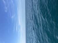 Great day of scuba diving in Key Largo with Rainbow Reef on woodys tropical destiny 2023 12 05 r14909 1
