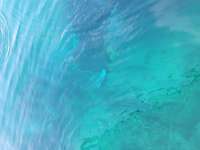 Great day of scuba diving in Key Largo with Rainbow Reef on benwood wreck tropical legend 2023 07 06 r14224 1