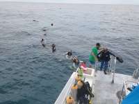 Great day of scuba diving in Key Largo with Rainbow Reef on benwood wreck tropical legend 2023 07 30 r14393 1