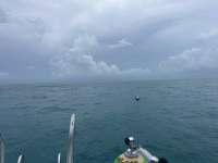 Great day of scuba diving in Key Largo with Rainbow Reef on christ statue tropical destiny 2023 07 28 r14380 1