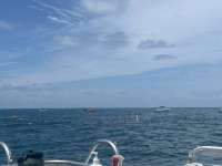 Great day of scuba diving in Key Largo with Rainbow Reef on christ statue tropical destiny 2023 07 29 r14386 1