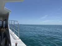 Great day of scuba diving in Key Largo with Rainbow Reef on city of washington tropical odyssey 2023 07 06 r14226 1