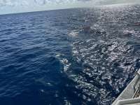Great day of scuba diving in Key Largo with Rainbow Reef on drift molasses tropical destiny 2023 07 15 r14284 1