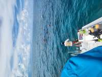 Great day of scuba diving in Key Largo with Rainbow Reef on eagle ray alley tropical legend 2023 07 01 r14183 1