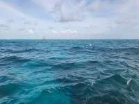 Great day of scuba diving in Key Largo with Rainbow Reef on eagle ray alley tropical odyssey 2023 07 29 r14384 1