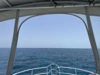 Great day of scuba diving in Key Largo with Rainbow Reef on french reef tropical destiny 2023 07 23 r14359 1
