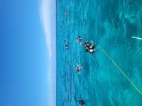 Great day of scuba diving in Key Largo with Rainbow Reef on french reef tropical legend 2023 07 21 r14342 1