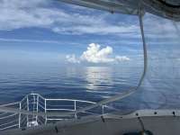Great day of scuba diving in Key Largo with Rainbow Reef on molasses deep tropical odyssey 2023 07 03 r14201 1
