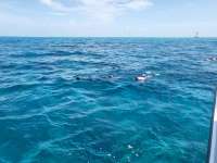 Great day of scuba diving in Key Largo with Rainbow Reef on permit ledges tropical legend 2023 07 21 r14338 1