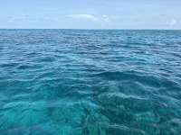 Great day of scuba diving in Key Largo with Rainbow Reef on sand island tropical adventure 2023 07 17 r14304 1