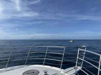 Great day of scuba diving in Key Largo with Rainbow Reef on spiegel grove tropical odyssey 2023 07 02 r14186 1
