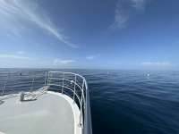 Great day of scuba diving in Key Largo with Rainbow Reef on spiegel grove tropical odyssey 2023 07 06 r14221 1