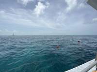 Great day of scuba diving in Key Largo with Rainbow Reef on student classes trip tropical odyssey 2023 07 16 r14298 1