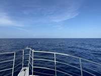 Great day of scuba diving in Key Largo with Rainbow Reef on uscgc duane tropical odyssey 2023 07 14 r14276 1