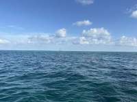 Great day of scuba diving in Key Largo with Rainbow Reef on winch hole tropical odyssey 2023 07 07 r14229 1