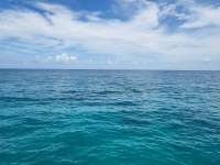 Great day of scuba diving in Key Largo with Rainbow Reef on woodys tropical legend 2023 07 30 r14398 1