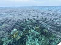 Great day of scuba diving in Key Largo with Rainbow Reef on banana patch tropical odyssey 2023 06 16 r14068 1
