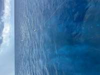 Great day of scuba diving in Key Largo with Rainbow Reef on benwood wreck tropical destiny 2023 06 29 r14166 1