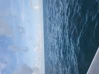 Great day of scuba diving in Key Largo with Rainbow Reef on benwood wreck tropical legend 2023 06 25 r14139 1
