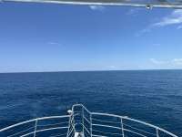 Great day of scuba diving in Key Largo with Rainbow Reef on benwood wreck tropical legend 2023 06 27 r14154 1