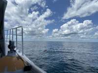 Great day of scuba diving in Key Largo with Rainbow Reef on christmastree cave tropical destiny 2023 06 05 r13998 1