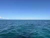 Great day of scuba diving in Key Largo with Rainbow Reef on conch ledge tropical destiny 2023 06 05 r13992 1