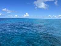 Great day of scuba diving in Key Largo with Rainbow Reef on eagle ray alley tropical adventure 2023 06 08 r14012 1