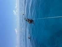 Great day of scuba diving in Key Largo with Rainbow Reef on french reef tropical destiny 2023 06 29 r14168 1