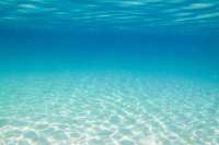 Great day of scuba diving in Key Largo with Rainbow Reef on french reef tropical legend 2023 06 10 r14029 1