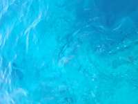 Great day of scuba diving in Key Largo with Rainbow Reef on molasses reef tropical legend 2023 06 23 r14110 1