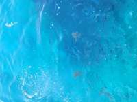 Great day of scuba diving in Key Largo with Rainbow Reef on molasses reef tropical legend 2023 06 23 r14114 1