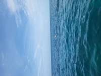 Great day of scuba diving in Key Largo with Rainbow Reef on molasses reef tropical legend 2023 06 23 r14119 1