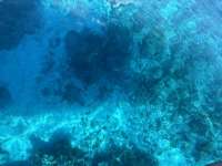 Great day of scuba diving in Key Largo with Rainbow Reef on spanish anchor tropical legend 2023 06 27 r14150 1