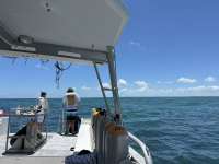 Great day of scuba diving in Key Largo with Rainbow Reef on the horseshoe tropical odyssey 2023 06 04 r13990 1