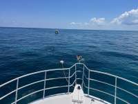 Great day of scuba diving in Key Largo with Rainbow Reef on christmastree cave tropical destiny 2023 05 28 r13957 1