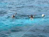 Great day of scuba diving in Key Largo with Rainbow Reef on elbow reef tropical destiny 2023 05 20 r13913 1