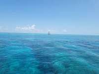 Great day of scuba diving in Key Largo with Rainbow Reef on molasses reef tropical legend 2023 05 18 r13898 1