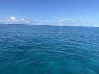 Great day of scuba diving in Key Largo with Rainbow Reef on sand island tropical destiny 2023 05 22 r13921 1