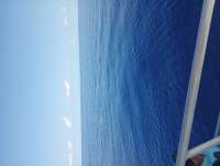 Great day of scuba diving in Key Largo with Rainbow Reef on uscgc duane tropical odyssey 2023 05 18 r13894 1