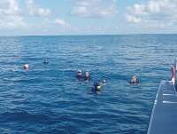 Great day of scuba diving in Key Largo with Rainbow Reef on woodys tropical legend 2023 05 23 r13924 1
