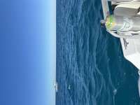Great day of scuba diving in Key Largo with Rainbow Reef on spanish anchor tropical destiny 2023 11 01 r14796 1