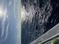 Great day of scuba diving in Key Largo with Rainbow Reef on spiegel grove tropical destiny 2023 11 30 r14882 1